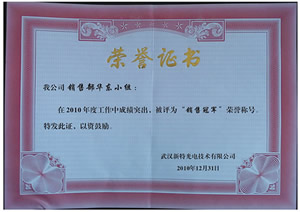关于表彰2010年度公司优秀员工和团队的决定