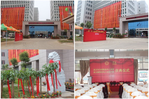 武汉新特光电工业园开园即将举行庆典仪式