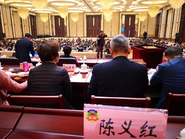 陈义红博士列席武汉市十四届人大四次会议第二次全体会议